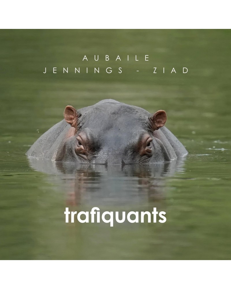 David Aubaile TRAFIQUANTS - DAVID AUBAILE (CD) $9.74 CD